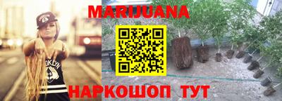 PSILOCYBIN Тула