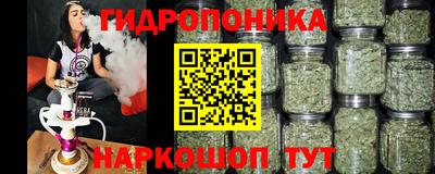PSILOCYBIN Тула