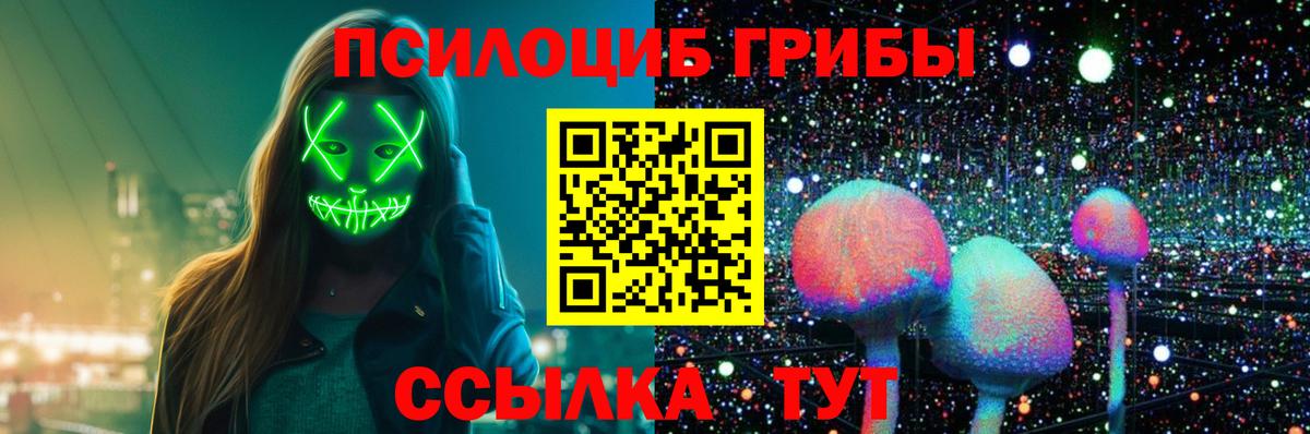 Галлюциногенные грибы Psilocybine cubensis Ливны